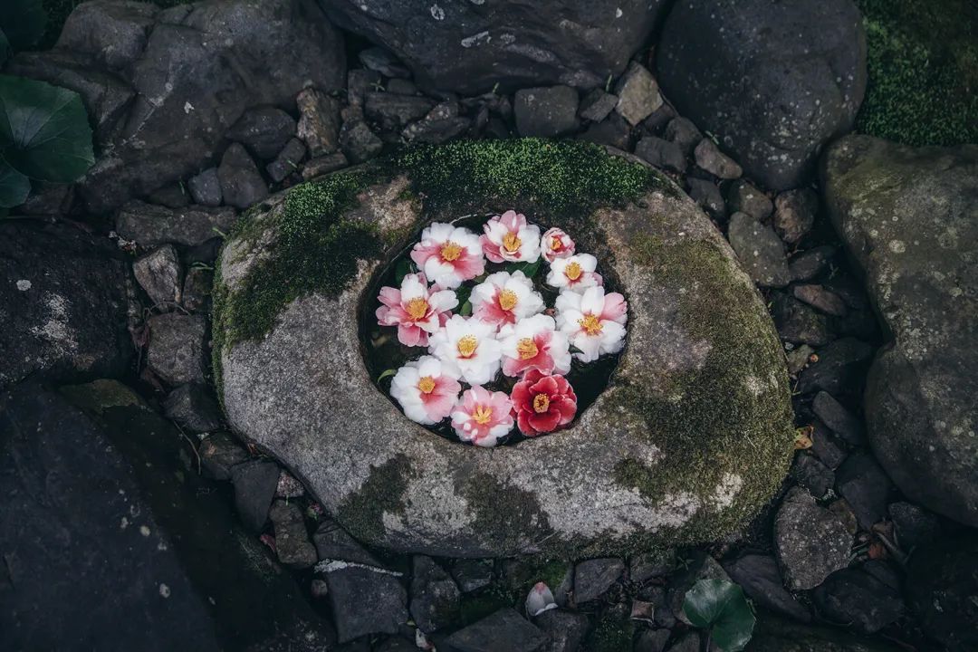 明年 为你的京都行程记上 花手水 目的地吧 第一财经杂志